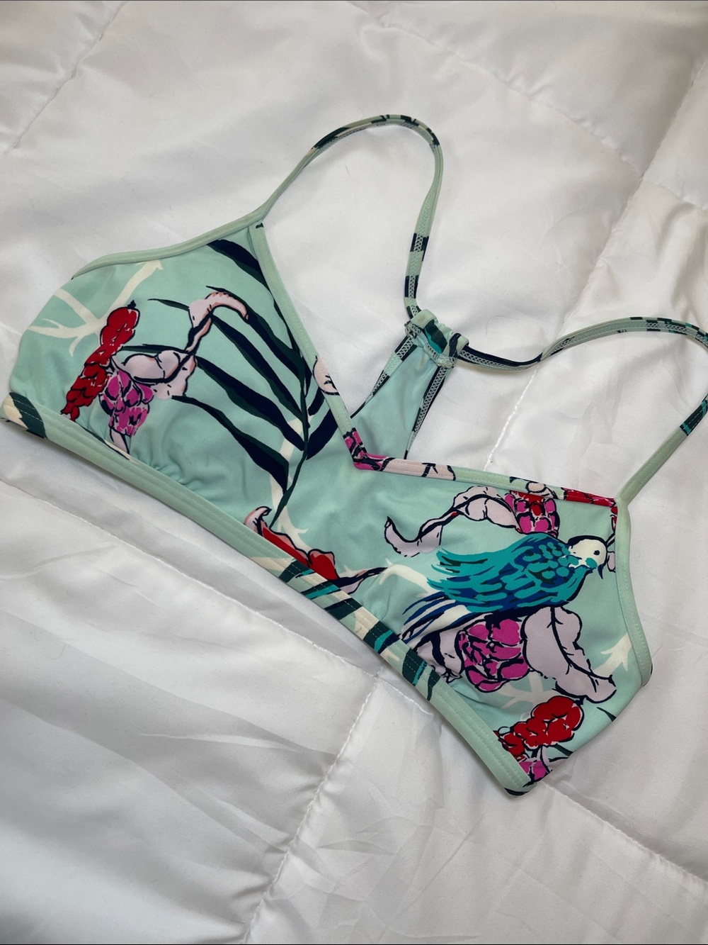 Carve Designs Mint Tropical Parrot Bikini Top